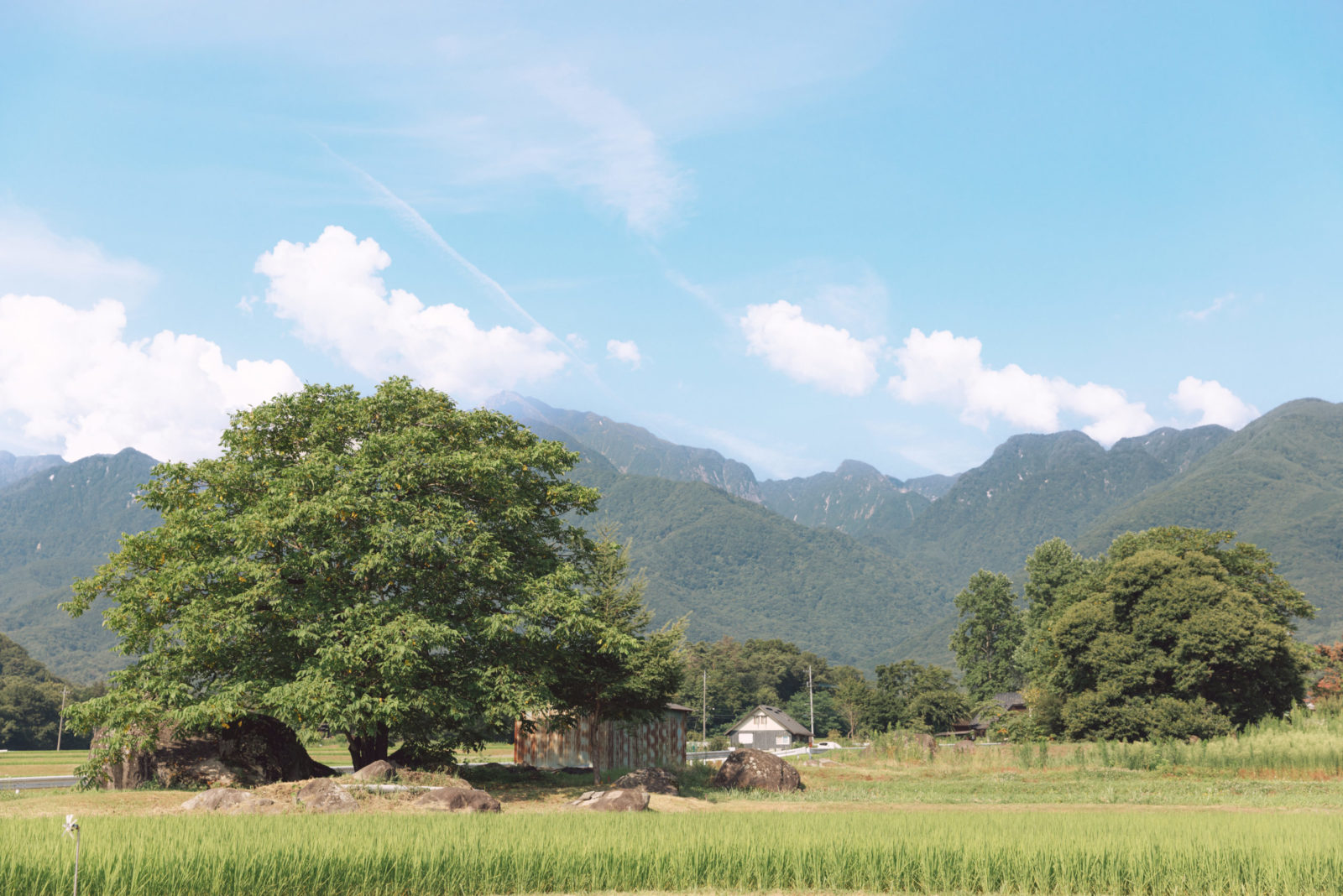 白州の名水とコモンが育む“新しい分譲住宅” 「CHIME白州」が内覧会を
